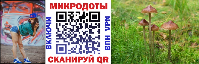 Псилоцибиновые грибы Psilocybine cubensis Крымск