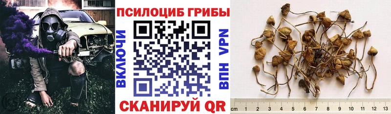 где купить наркотик  Крымск  Галлюциногенные грибы прущие грибы 
