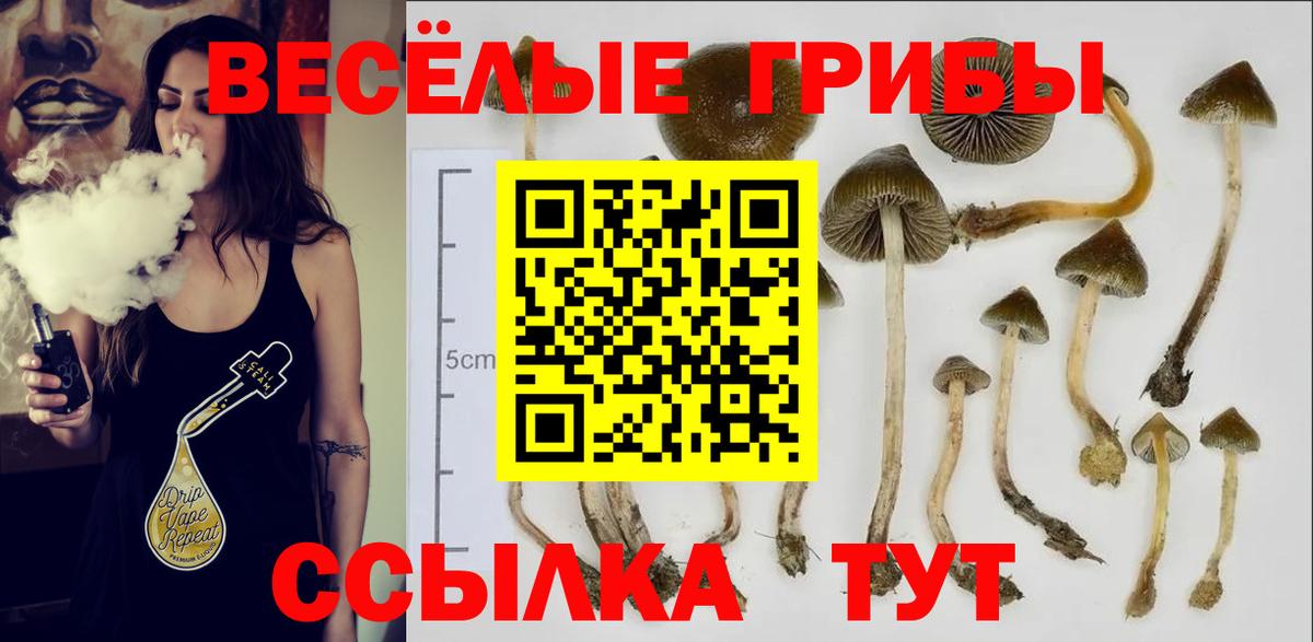 Галлюциногенные грибы Magic Shrooms Крымск